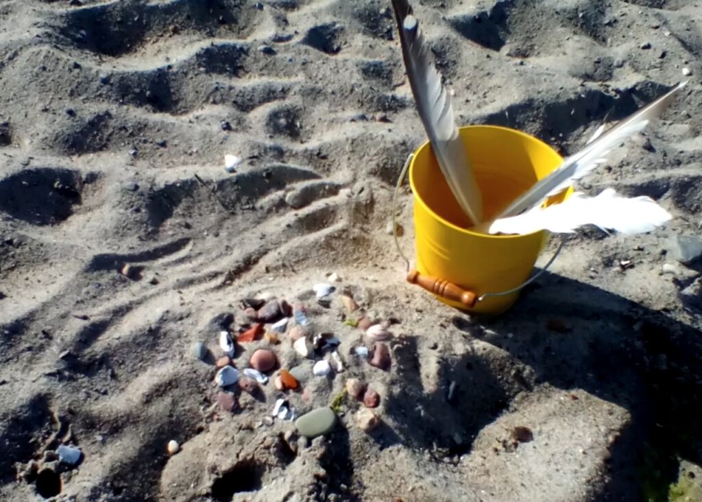 Sammeln in der Natur: Federn und Steine als gesammelte Naturschätze am Strand