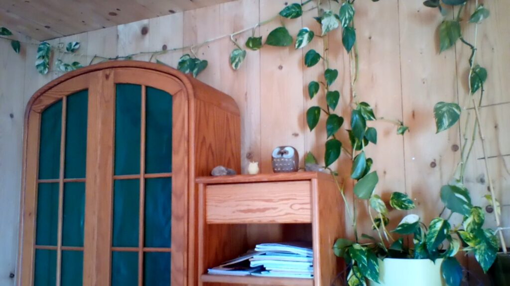 Natürliche Wohnatmosphäre mit Massivholzwand Schrank aus Massivholz und Zimmerpflanzen
